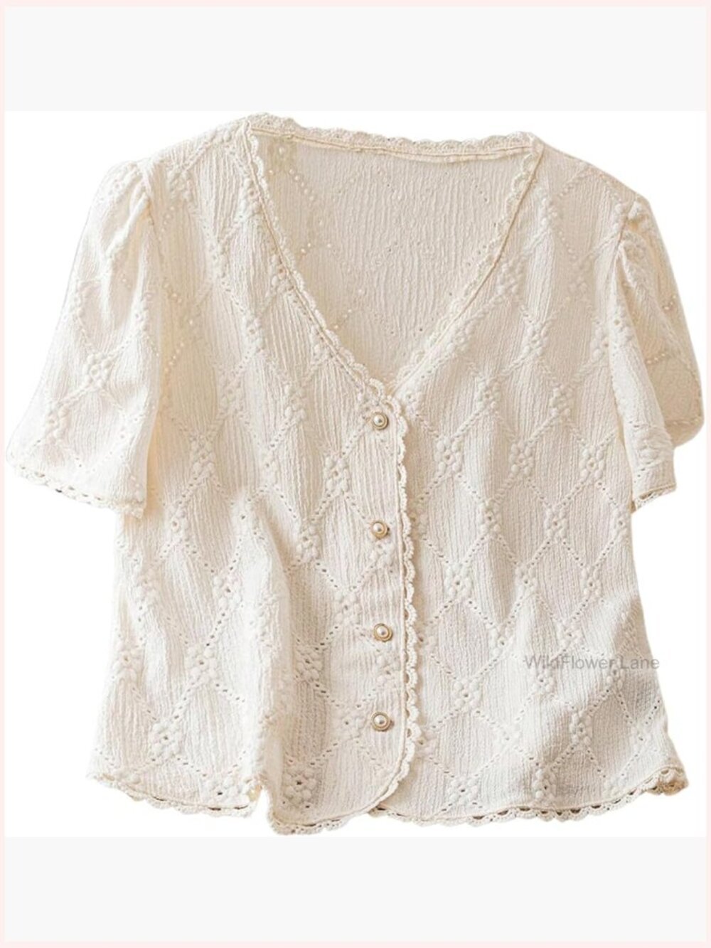 Floral Embroidered Button Down Blouse Frill Trim Short Puff Sleeve V Neck